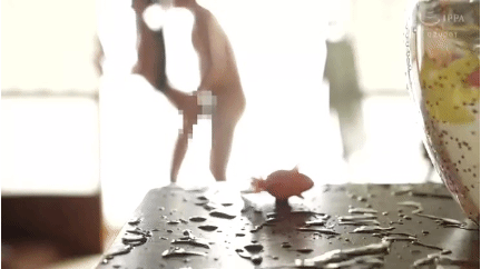 セックスで揺れる金魚鉢。